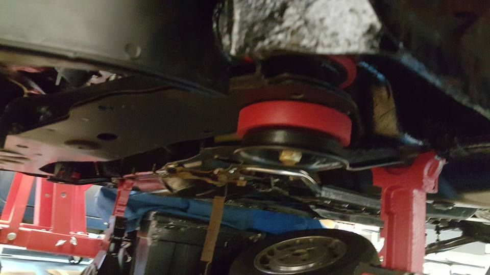 11951972_10206598795864164_4598890686430