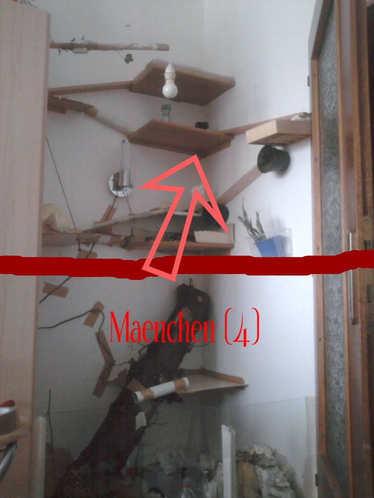 Foto00012-2.jpg