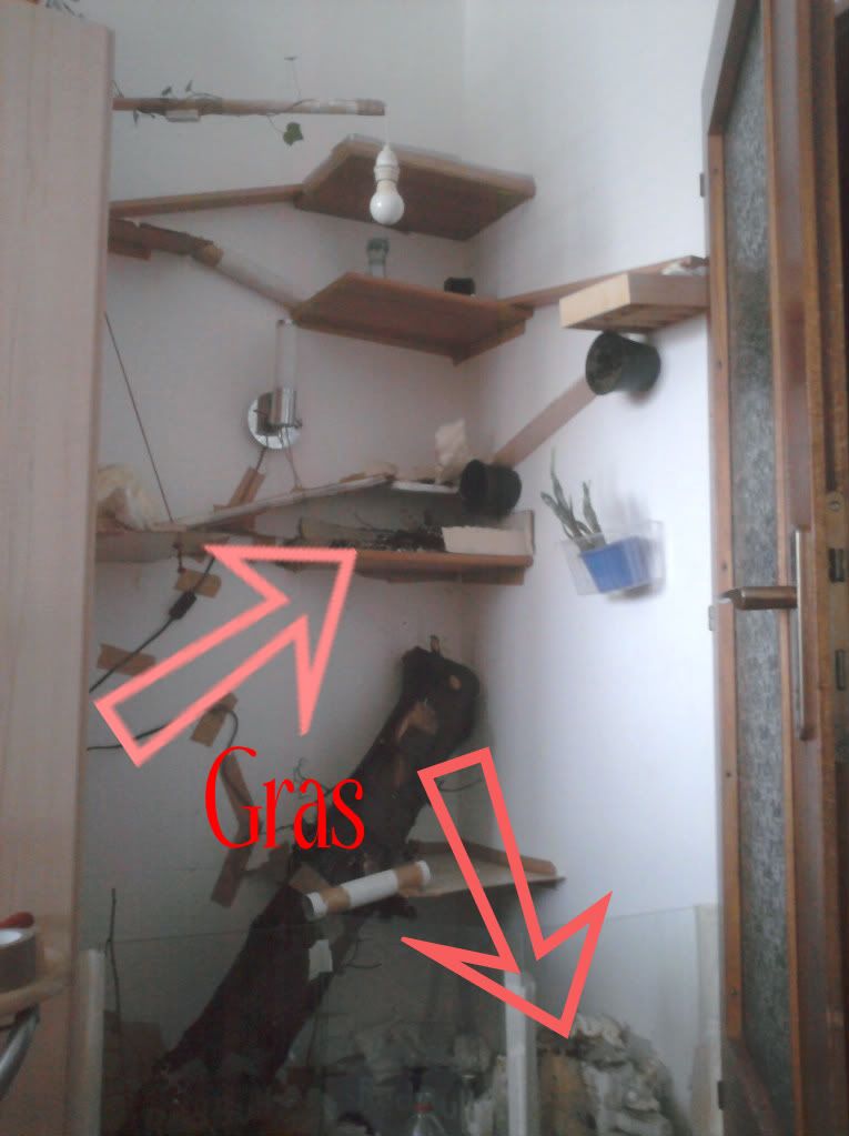 Foto00012-3.jpg