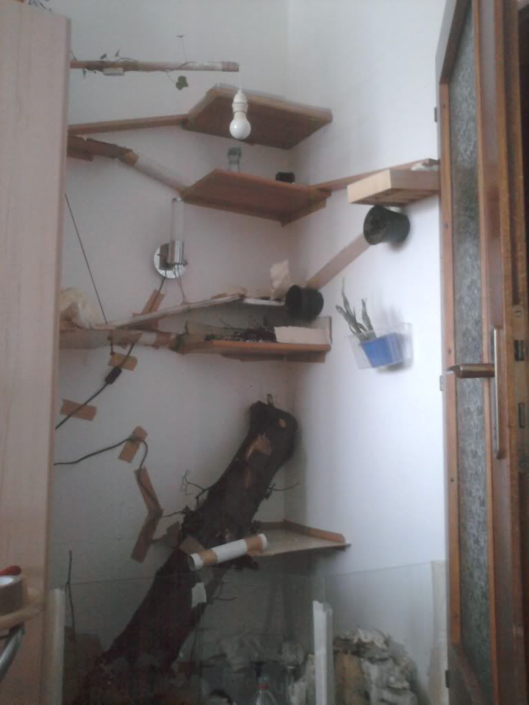 Foto00012.jpg