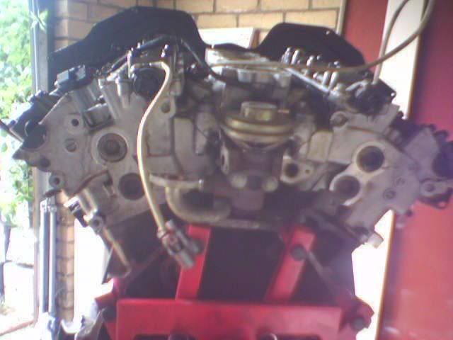 IMAGE_00043.jpg?t=1221422592