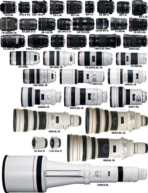 CanonLenses3.jpg