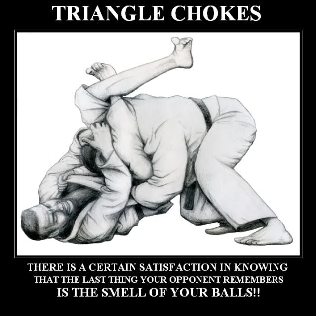 aaTriangle_Choke_by_sarahbethking.jpg