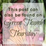 Green Thumb Thursday