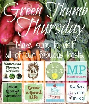 Green Thumb Thursday Garden Blog Hop: May 29