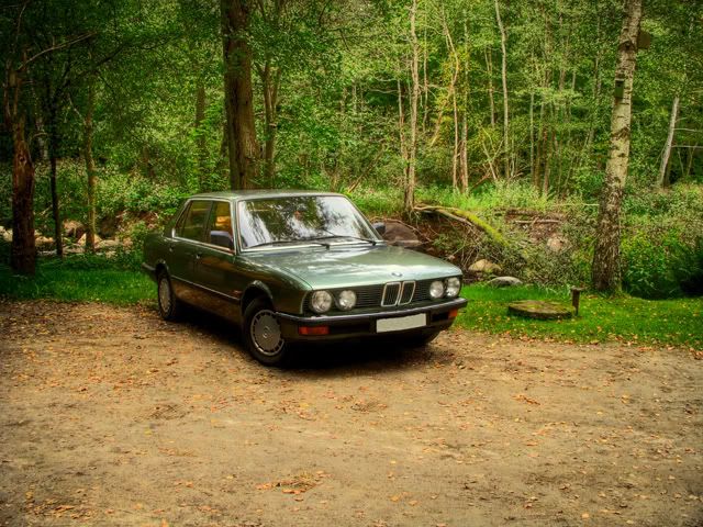 http://i522.photobucket.com/albums/w347/timmy_r87/bmw528-001_2_3.jpg