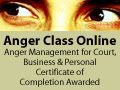 On Line Anger Management Classes for Parents and Others (Click on Image Below)