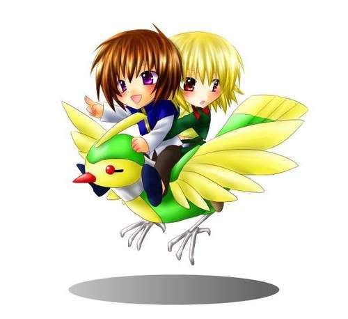 cagalli and kira Pictures, Images and Photos